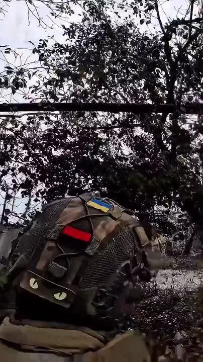���������� � ��������� �������� ������ ��������� � ���� � ���������� ��