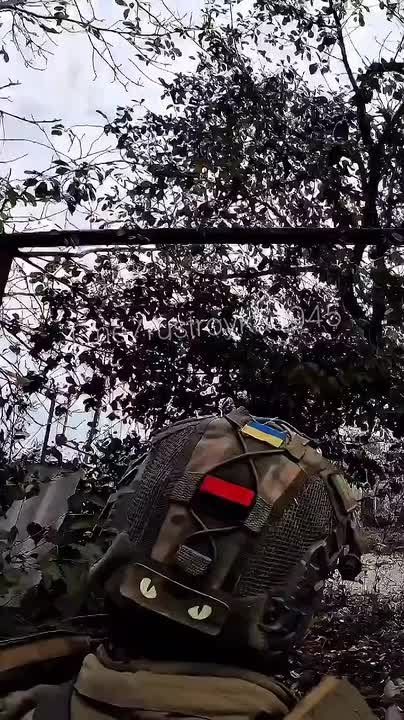 ������� ��������: ���������� � ������������� � ��������� ��������