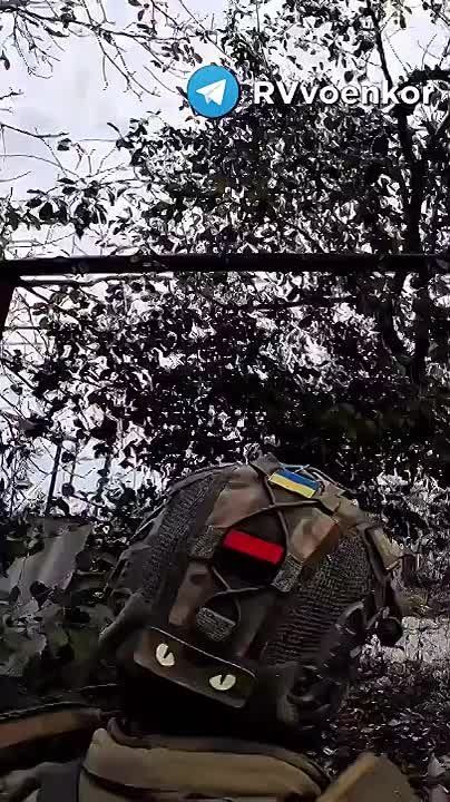  ! &quot;**,   &quot;!      