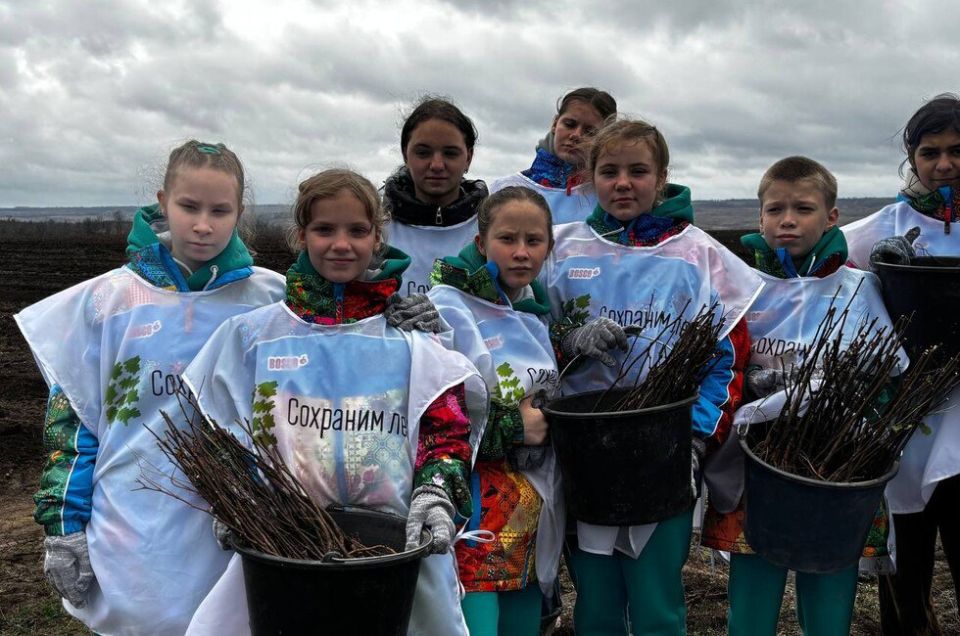 Десятки тысяч акаций высадили в регионе в рамках акции «Сохраним лес»