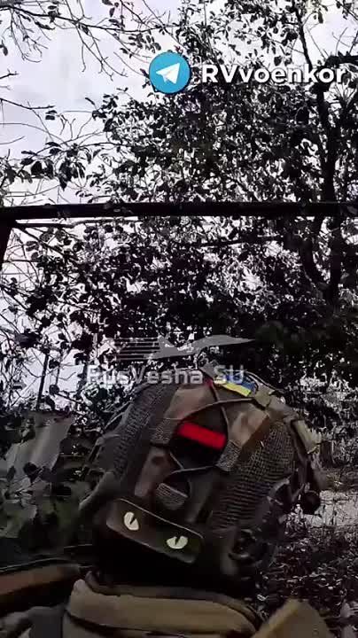 "�**��, ��� ��� ���������!": ������ ��� � ��������������