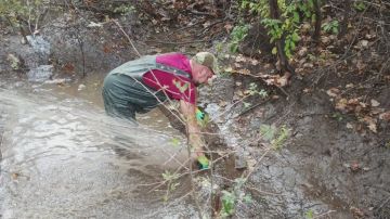 Ленобласть увеличила количество аварийно-ремонтных бригад в Енакиево