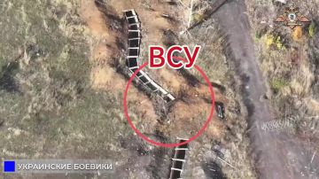 57 орСпН громит ПУ БЛА и позиции ВСУ в Димитрове