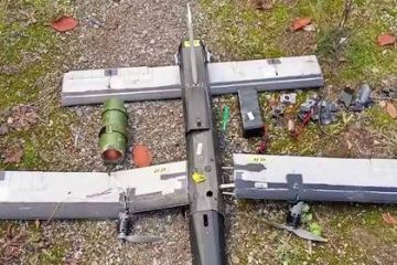 Система РЭБ «Купол Донбасса» за неделю перехватила 366 дронов ВСУ в ДНР