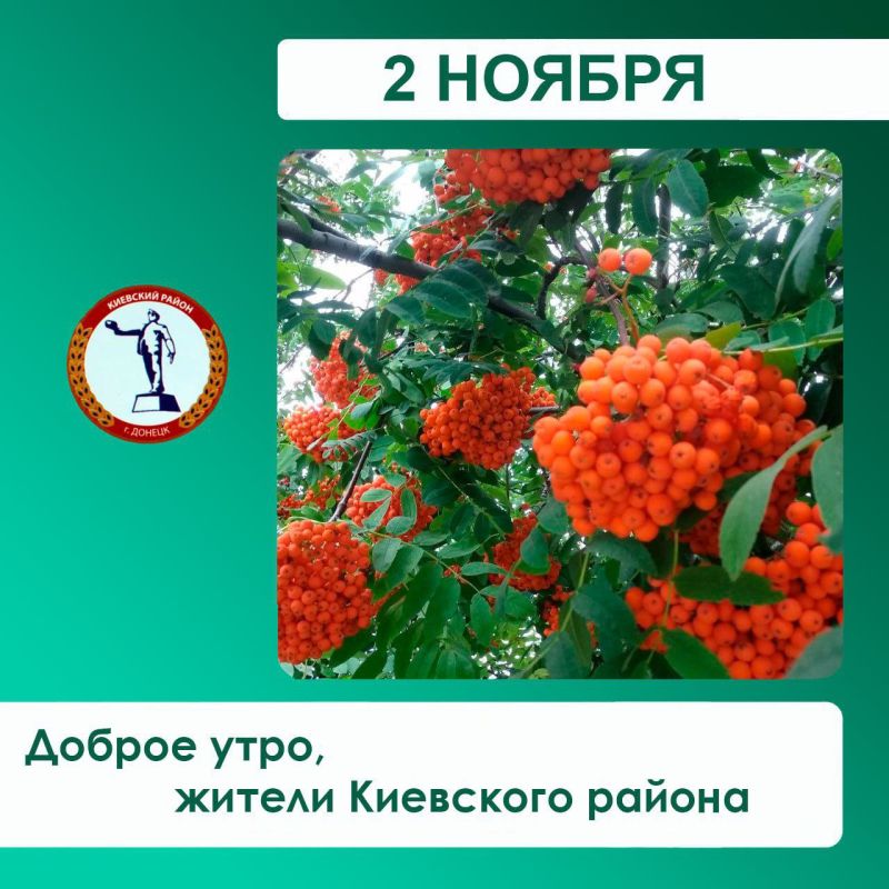 �������� ��������: �� ������ �������������, ������� ��������� ������ � �������� ������ ����� ����������� �� ��������� �������: