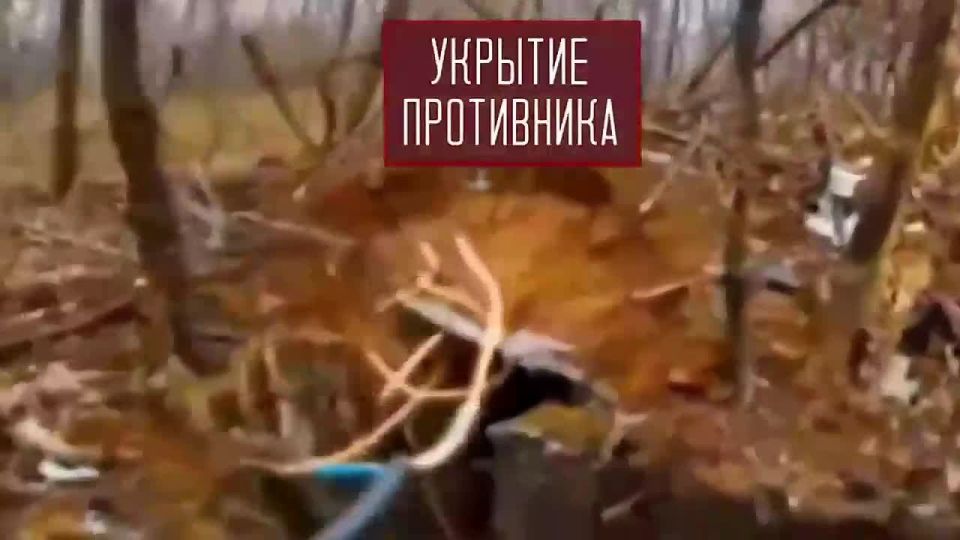 ����������� ������ ������� �������� �� ������������� � ��������: ������ ������� �/� ����, ������������ � ���������� ������ � �������� ���������� ���� ������ ���