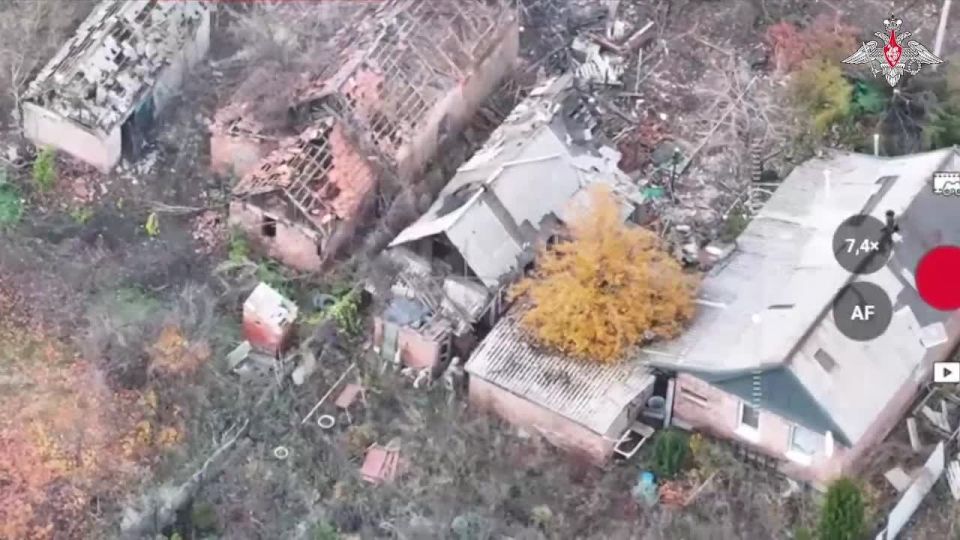  :  5-      ..      24   ,   -    ...