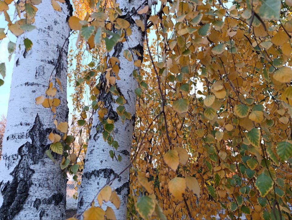 Доброе утро, Амвросиевский муниципальный округ!