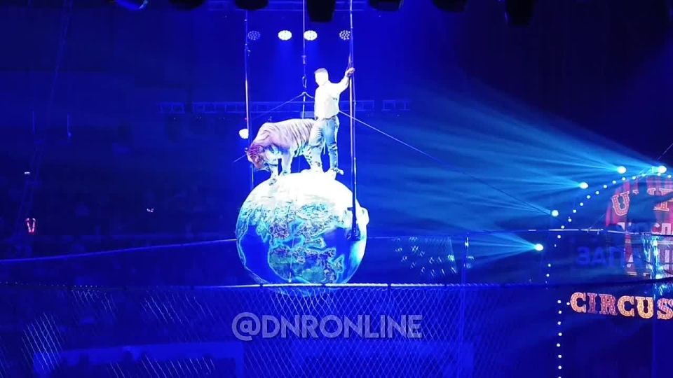 � ������� ������������ ������� �������� �����������