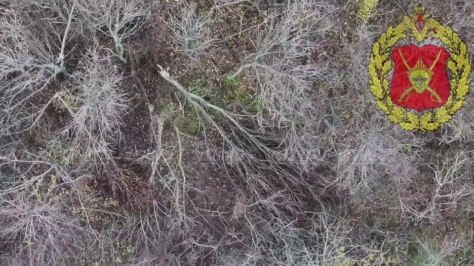 #от_подписчиков. На видео - работа отряда "Алеппо" 1472 гвардейского мотострелкового полка