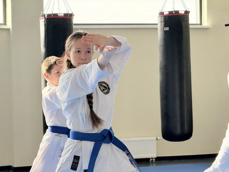  :          -       ,        