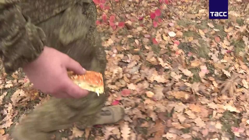 �� ������ ��������� ����: ������� � ��� � ����� ��������� ��������� �� ��������� ������