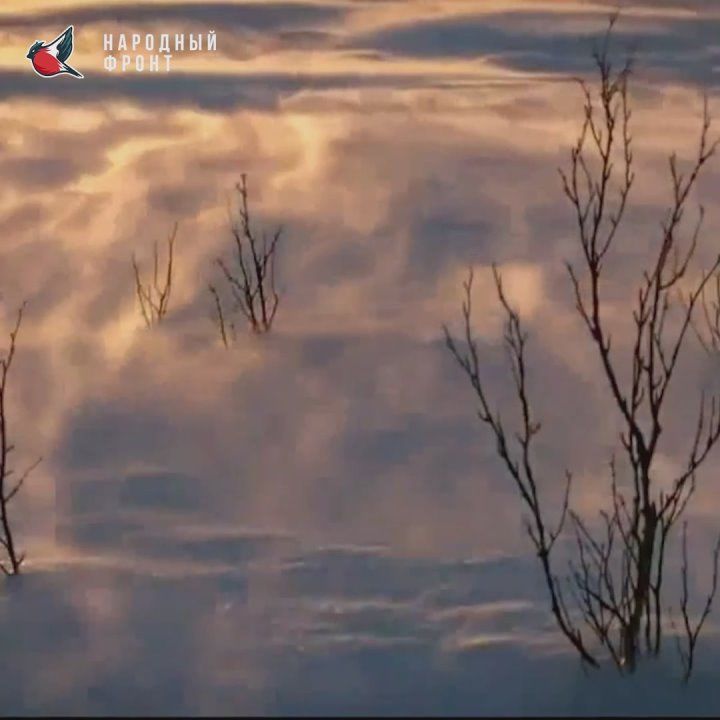 ���� ��������� �������� - �������� ����� ���������, ��������� ����������� � ��������� ������!