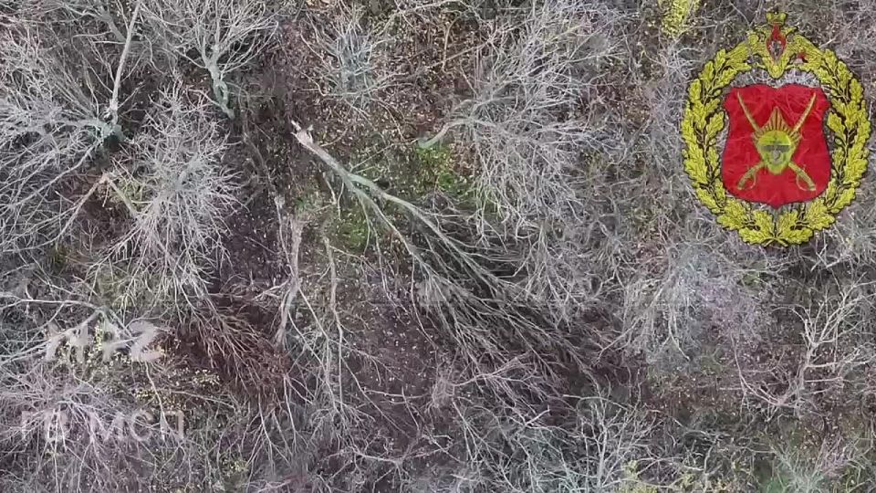 Сброс с коптера на замаскированного противника на Добропольском направлении