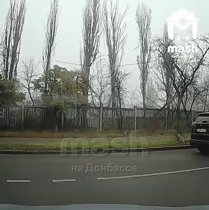 �������� ������ � ������� ��-�� ������ ������-��������