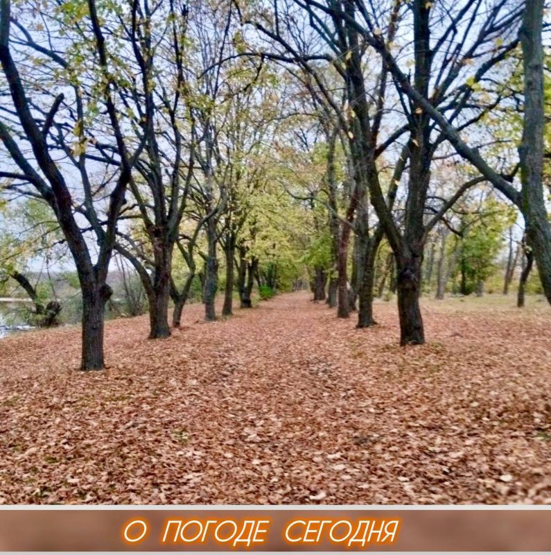 Александр Шатов: Сегодня в Республике будет пасмурно