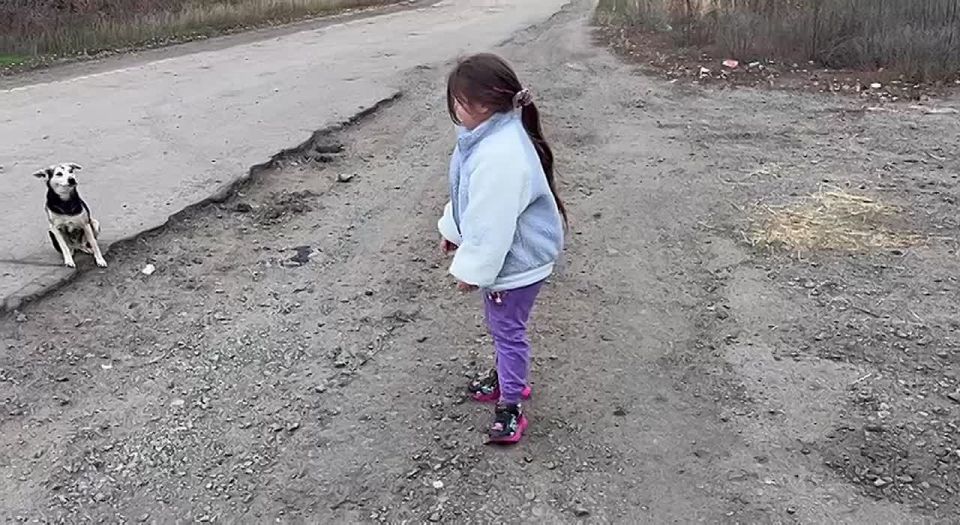 Важное задание «Звёздочки»