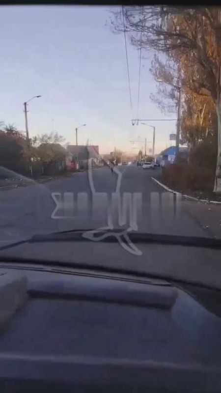 Малолетняя ОПГ питбайкеров терроризирует Харцызск