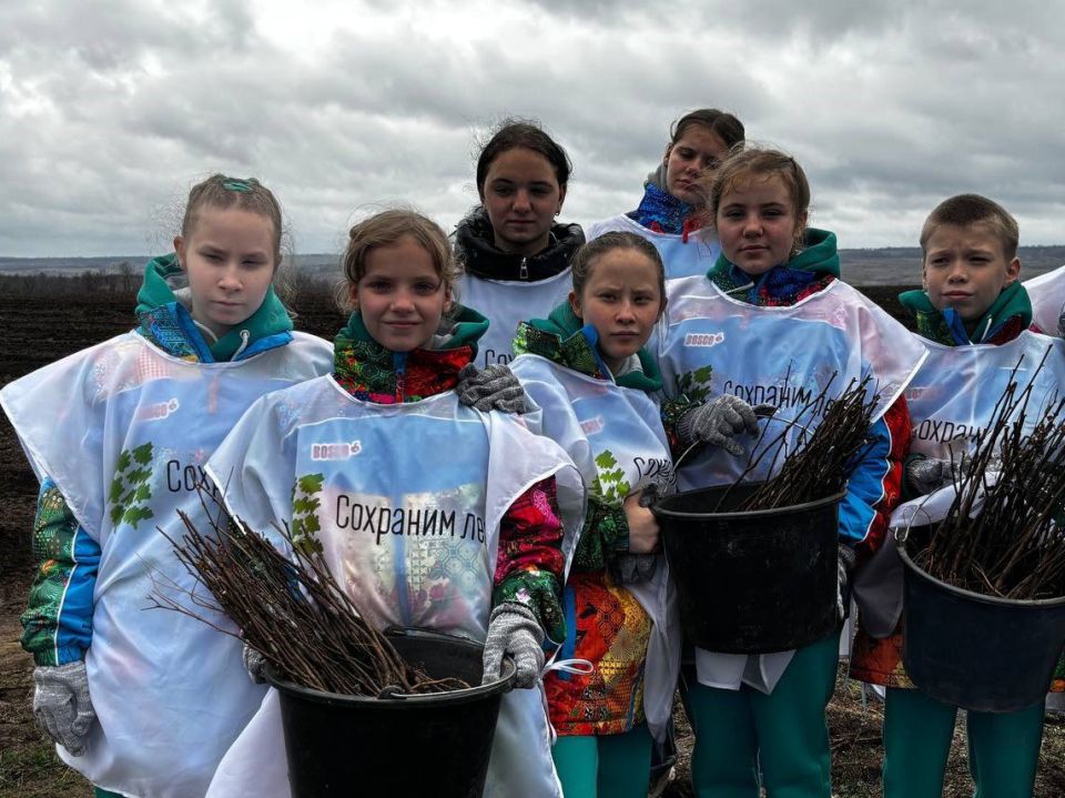 В этом году восстановят 40 га насаждений в рамках акции «Сохраним лес» - сообщил Владимир Ежиков заместитель Председателя Правительства ДНР