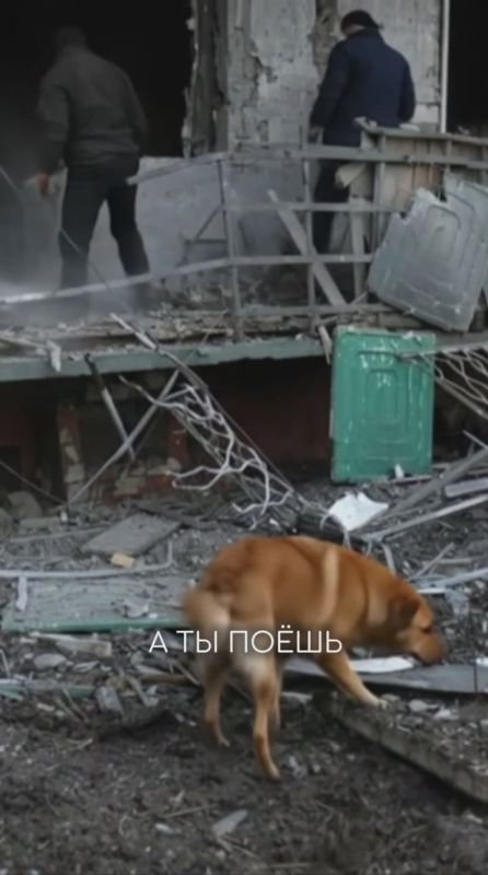 ��������! ������ ������� � ���������