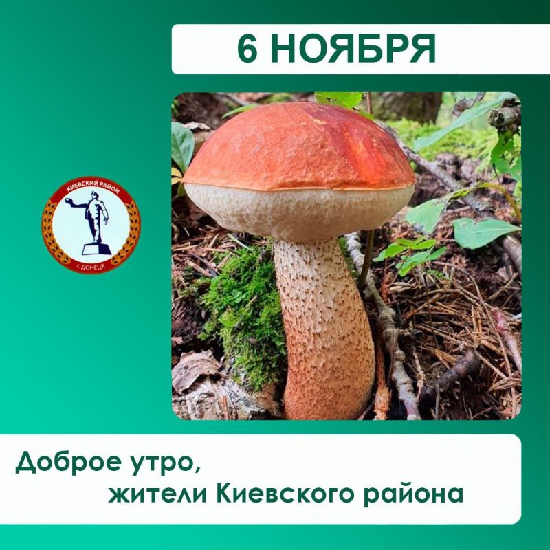 �������� ��������: �������, �� ���������� ��� ��� "���������������", ����������� ����� ������ � ���������� ��� �9; ��.��������, ��.�������. ������������ �������� ������������ "���������", "�������������"