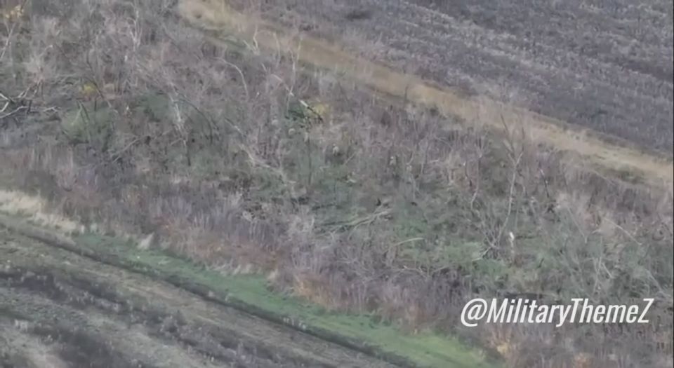 ��� ���������� �� ������ �������� ��������� ��� ���������� ��������� �� ���������