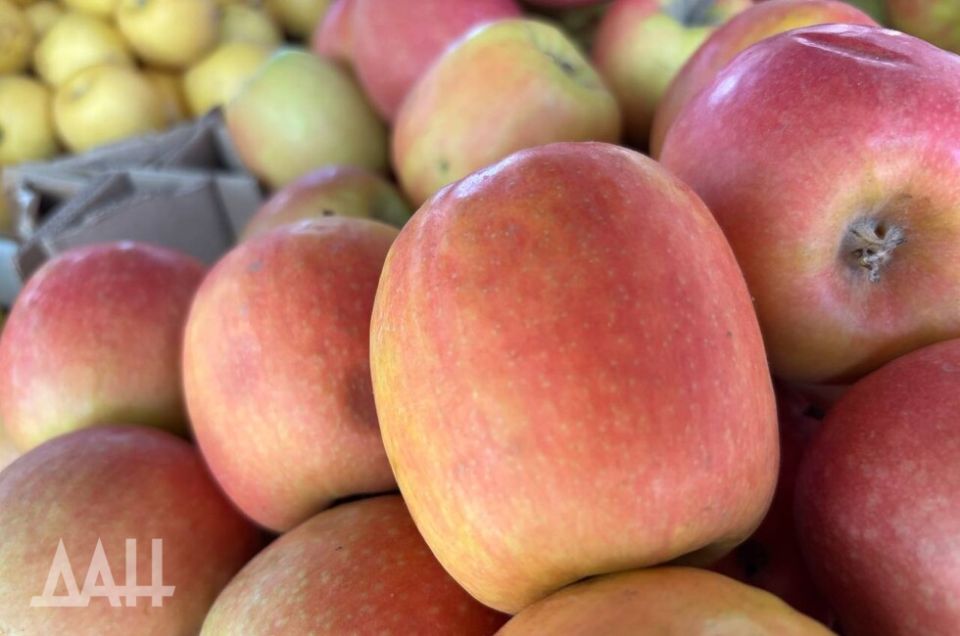 В Россельхозцентре рассказали, какие удобрения заложат основу будущего урожая