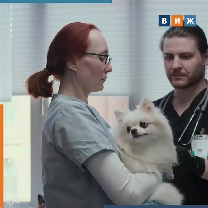 � ������� ������� ����� �������� ������������ ����������� ����� � �����