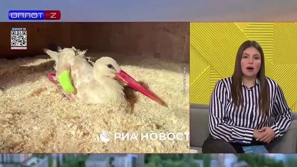 ����������� �� ������ ������� ��������� � ���������� ����������� ��������� �����