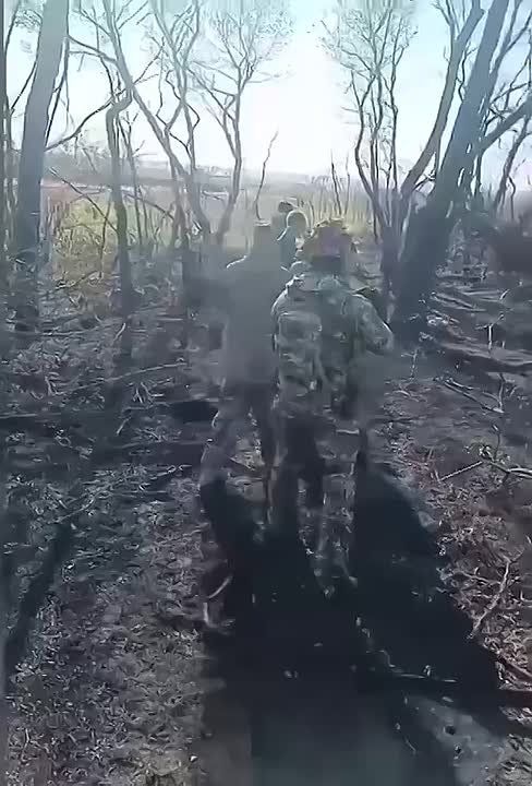 ��� ��������� ����� �� �������, ��� ����������, ������� ��������, ��������� � �������������� (��������)