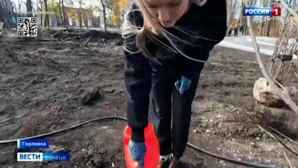 В Горловке Донецкой Народной Республики в рамках федерального проекта «Парки России» провели масштабную акцию по озеленению парка культуры и отдыха имени Максима Горького