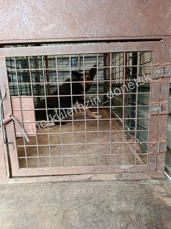 ������� ��������: ������� ����������� ��������� � ������ ���������� ���� ������, ������� ��������� ��������