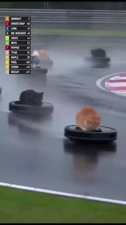����: ����� �������� ������������ ��������� � ���