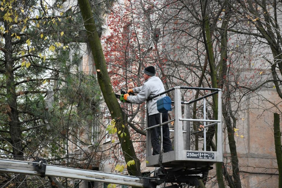 В Кировском выполнили санитарную обрезку деревьев