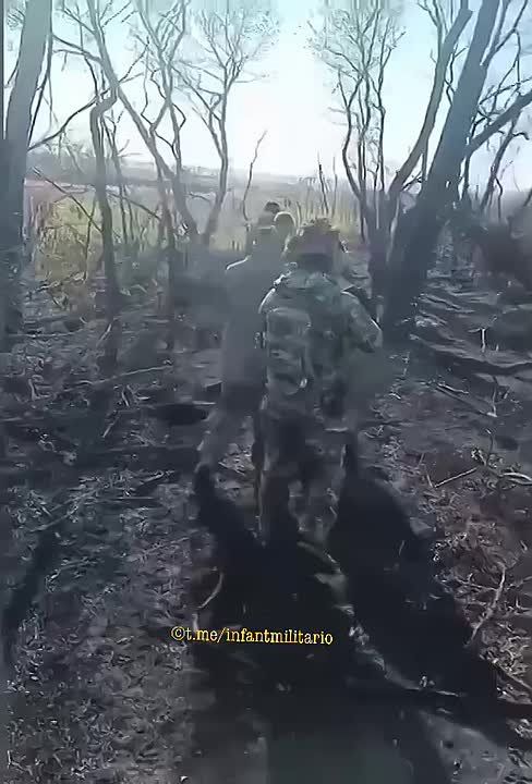 ������ ����� ���������� ������� �� ������� 25-�, ����, 32-� ����, 68-� ����, 70-� ���� � 155-� ���� �� ��������� (������ ��� ������������ ��������������) ���