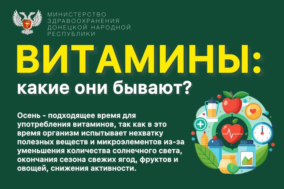 Витамины: какие они бывают?
