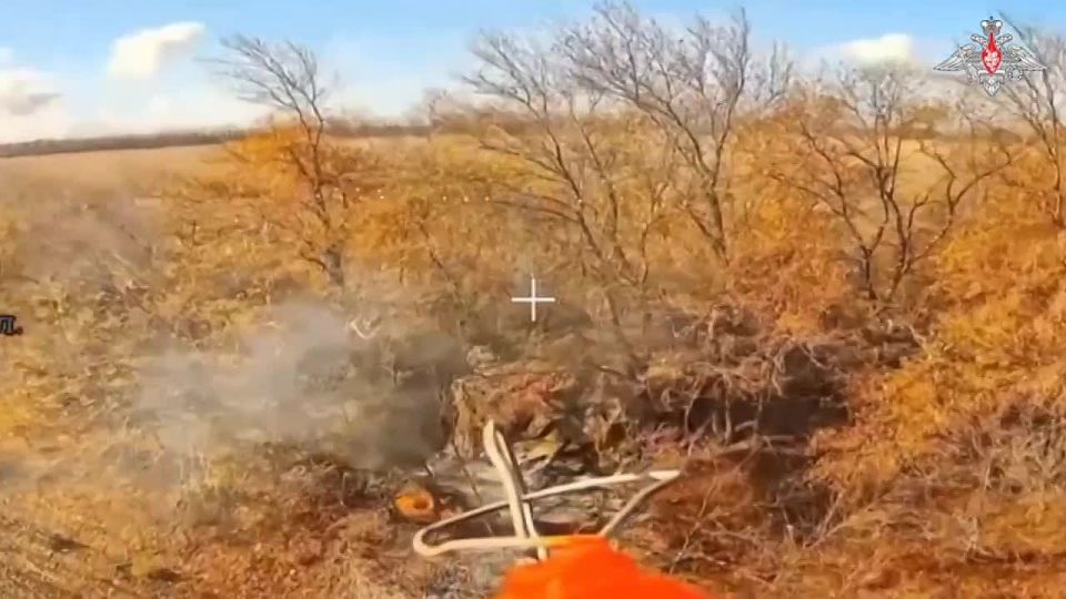 Армия России освободила населённый пункт Волчье в Днепропетровской области