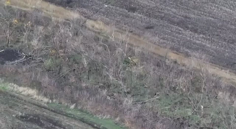 Боевики ВСУ пытаются выйти из Покровского &quot;котла&quot;