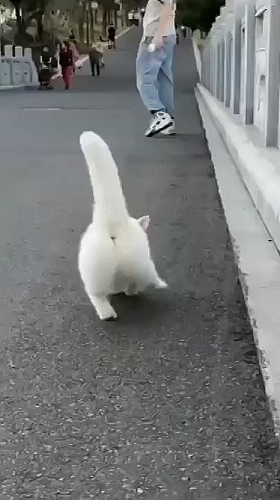 ������� ���� �������� ������ ��� � � ���������� ��������!