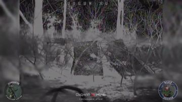 В районе н.п. Мирное северо-западнее Покровска FPV-дронами уничтожена САУ 2С3 "Акация" ВСУ