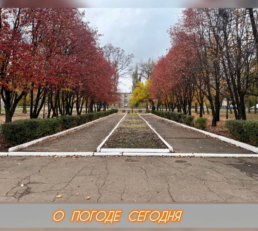 Александр Шатов: 8 ноября в Республике ожидается переменная облачность