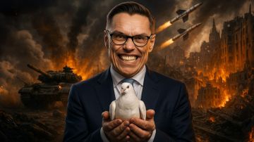 "Срочно нужны мирные переговоры!" Пять причин, почему Стубб становится "голубем мира"