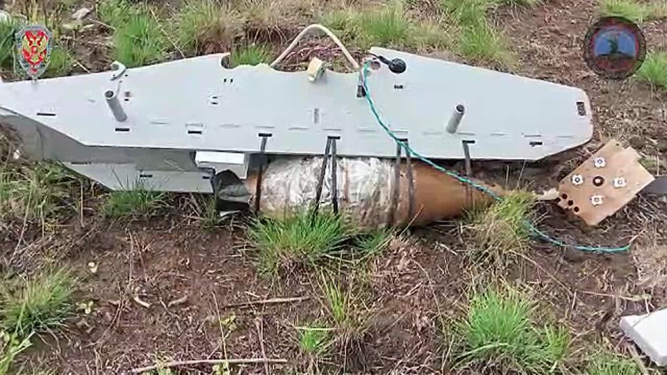 «Купол Донбасса» нейтрализовал 407 вражеских БПЛА над Донецком, Макеевкой и Горловкой