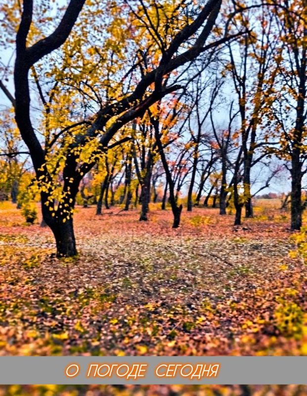 Александр Шатов: 9 ноября в Республике ожидается переменная облачность