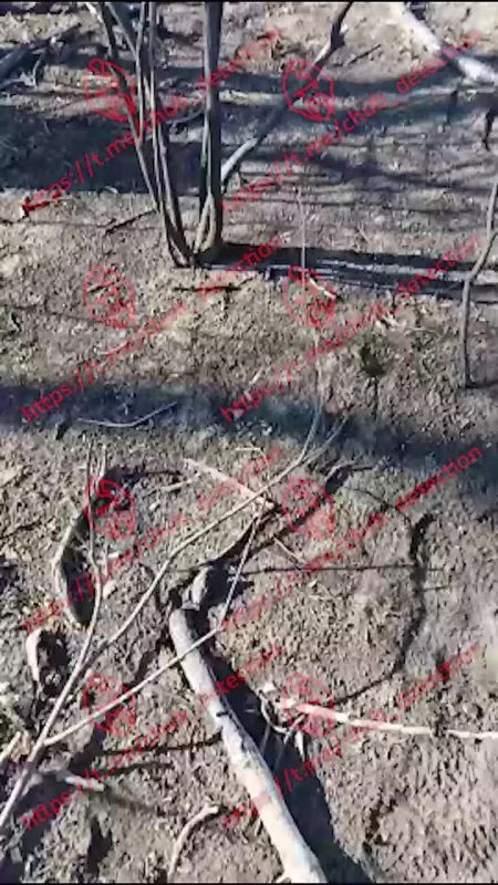 "В день до пяти КАМАЗов выходит"