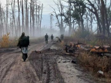 Добропольский «котел» для ВС РФ стал могилой для бойцов ВСУ