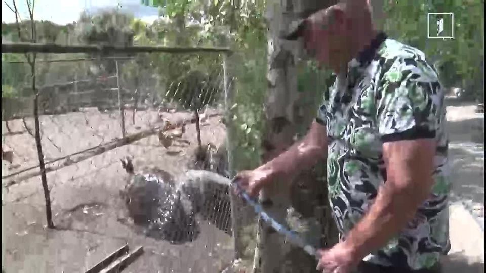 ��� ������Ż "�� � ������ �� ���, ���� ���������"