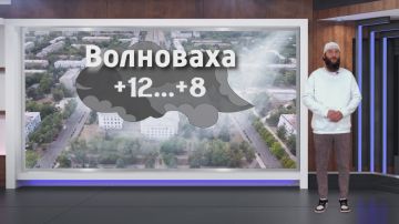 Прогноз погоды на 11.11.2025