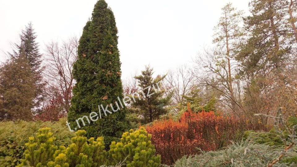 ������� ��������: ����� � �������.