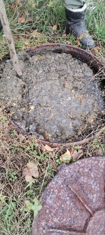 ������� ����������: ������� ������������� �������������� ������ ��������� � ���-�������� ������������ ������� ��������� ��������� ������: